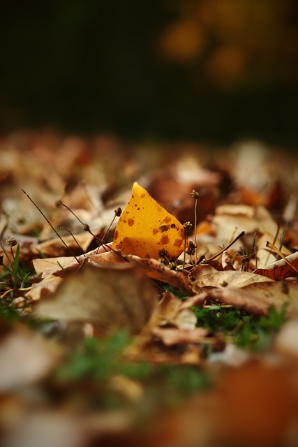 紧张与深夜会议……哈维·阿隆索的未来悬而未决
