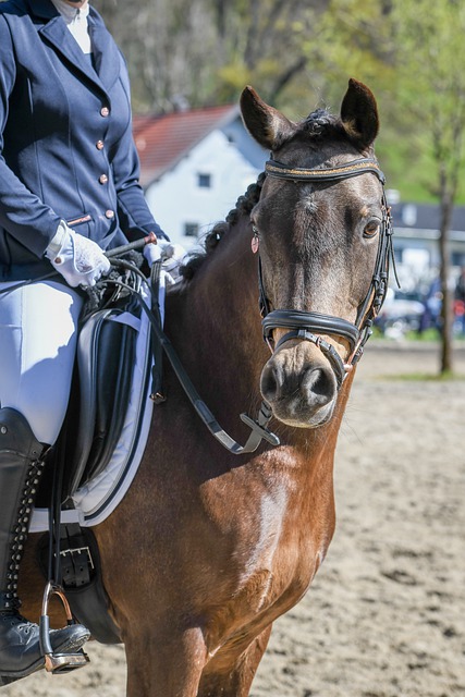 马洛塔回应西蒙尼言论：理解他的钦佩之情，但我们已经有齐沃